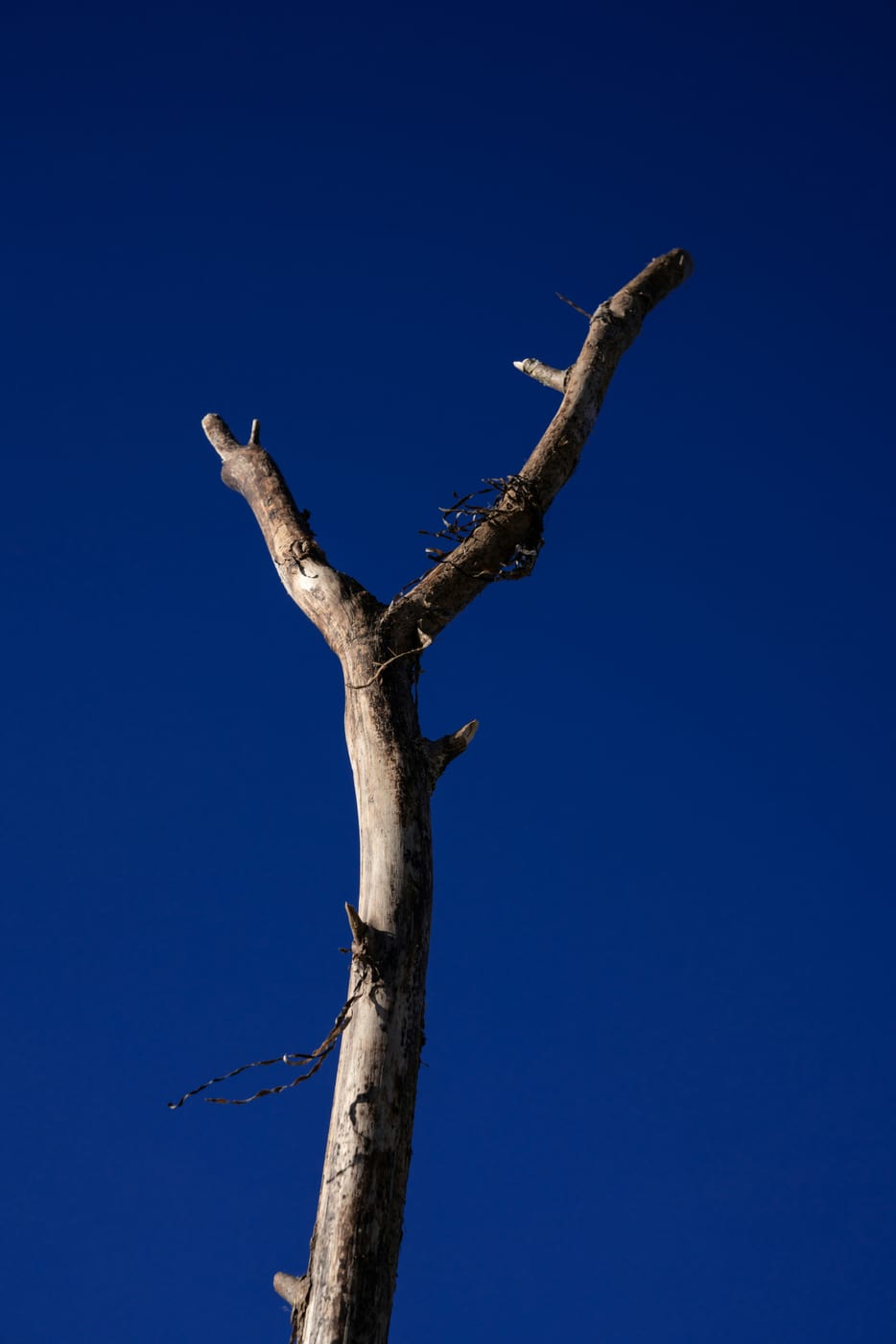 Your stick